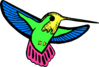 Multicolored Hummingbird Clip Art